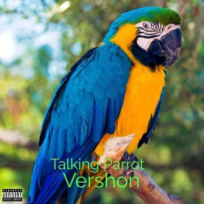 Vershon Talking Parrot