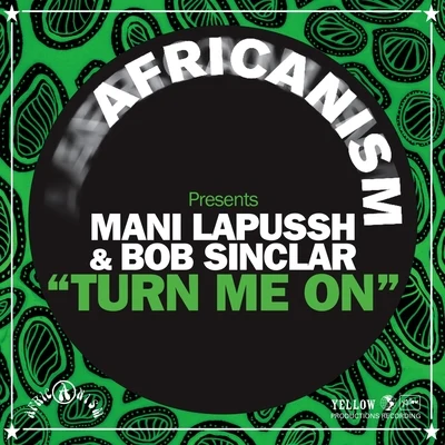 Mani Lapussh Turn Me On (Africanism Presents)