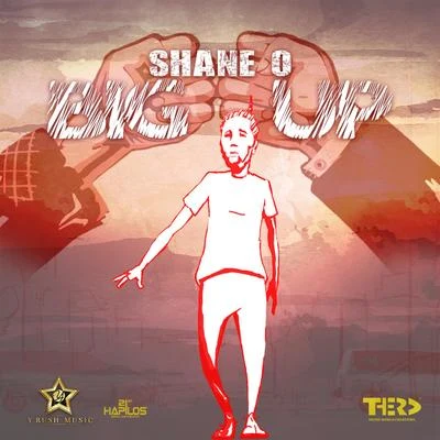 Shane O Big Up