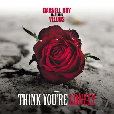 Darnell Roy Think You're Lonely (feat. Velous)