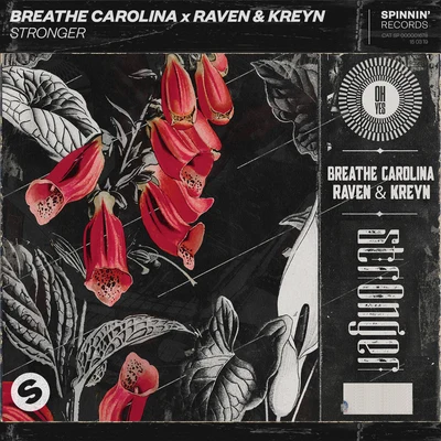 Breathe Carolina/Raven & Kreyn Stronger