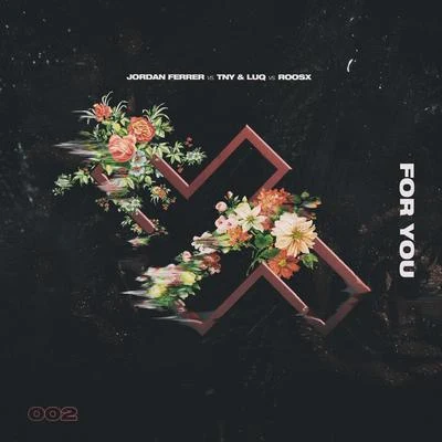 Roosx/Jordan Ferrer/TN Y & l u Q For You