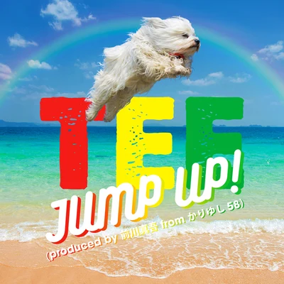 TEE Jump Up!