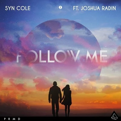 Syn Cole Follow Me (VIP Mix)