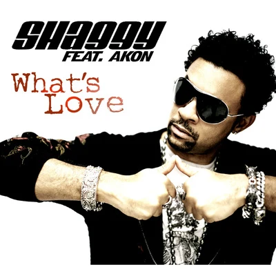 Shaggy What Is Love