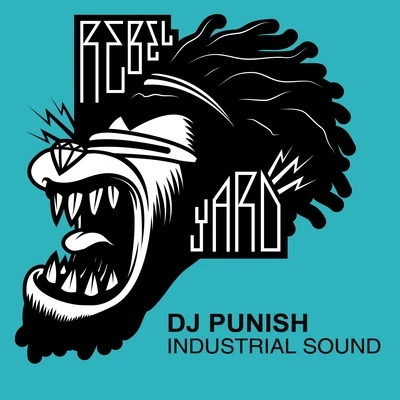 DJ Punish Industrial Sound