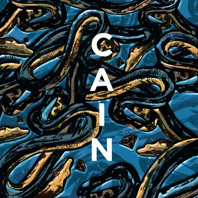 Cain The Collection 2014-2019