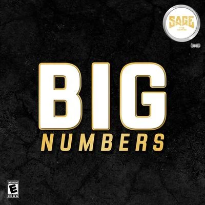 Sage the Gemini Big Numbers