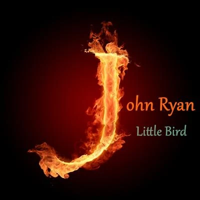 John Ryan Little Bird