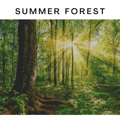 ASMR Earth Summer Forest