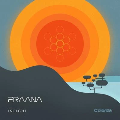 Praana Insight