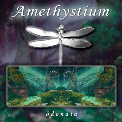 Amethystium Odonata