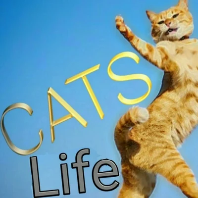 Nikman Cats Life