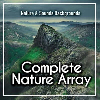 Nature &amp; Sounds Backgrounds Complete Nature Array