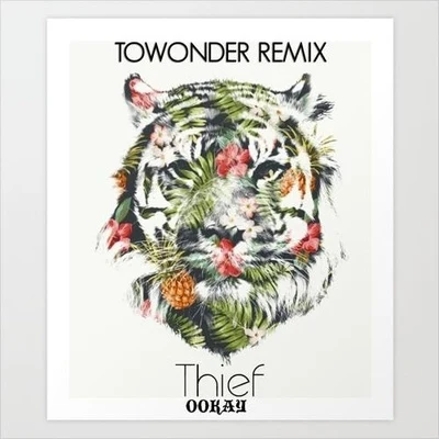 ToWonder Thief (ToWonder Remix)