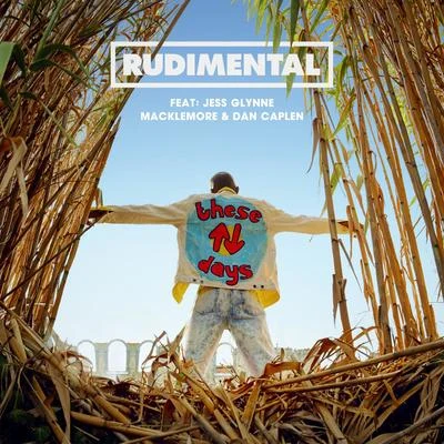 Jess Glynne/Macklemore/Rüdimental/NEIKED/Dan Caplen These Days (feat. Jess Glynne, Macklemore & Dan Caplen)