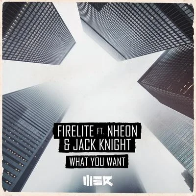 Firelite/Suae/Jack Knight/Nheon/Technikore What You Want