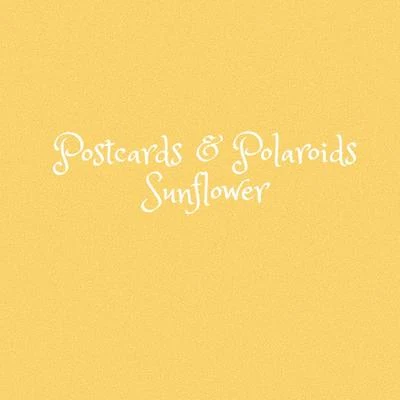 Postcards & Polaroids Sunflower