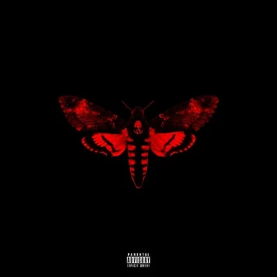 Lil Wayne I Am Not A Human Being II (Deluxe)