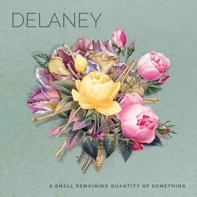 delaney A Small Remaining Quantity of Something