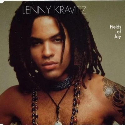 Lenny Kravitz Fields Of Joy