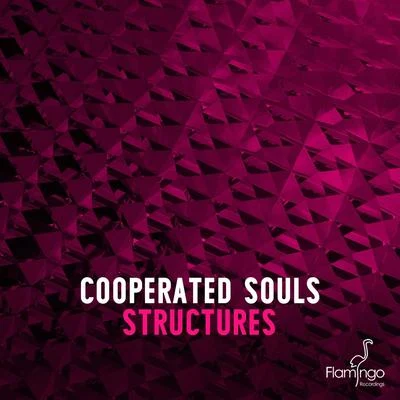 Cooperated Souls Structures (Extended Mix)