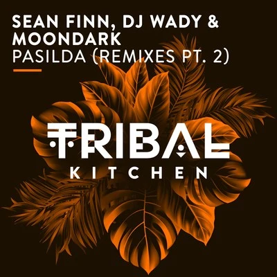 Moondark/Sean Finn/Dj Wady Pasilda (Remixes Pt. 2) [Radio Edits]