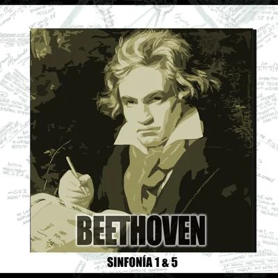 Beethoven Sinfonia N1 En Do Mayor Y Sinfonia N5 En Do Menor