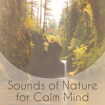 The Calming Sounds of Nature Sounds of Nature for Calm Mind – New Age Calm Sounds, Soothing Music, Nature Waves, Rest & Relax