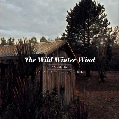 Andrew Carter The Wild Winter Wind