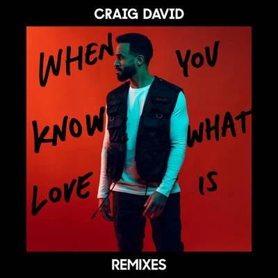 Craig David When You Know What Love Is (Remixes)