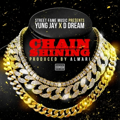 Yung Jay Chain Shining (feat. DDream)