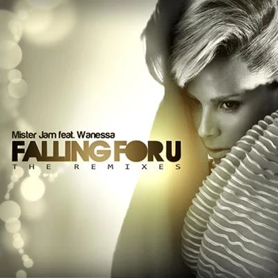 Mister Jam/Wanessa Falling for U (The Remixes)