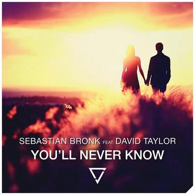 David Taylor/Sebastian Bronk Youll Never Know (feat. David Taylor)