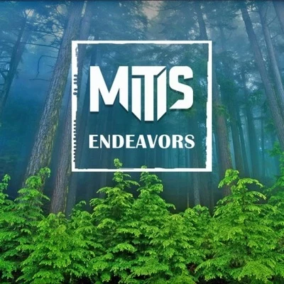 MitiS Endeavors + Alive Remix