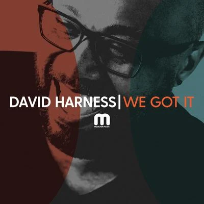 David Harness We Got It