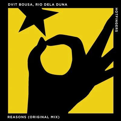 Dvit Bousa Reasons