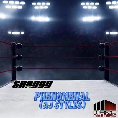 Shaggy/Marc Mysterio Phenomenal (AJ Styles)