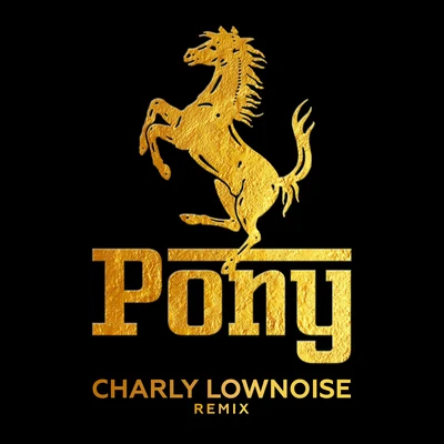 De Kraaien Pony (Charly Lownoise Remix)