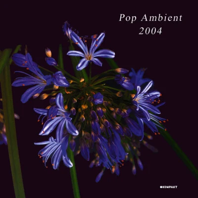 Diverse Pop Ambient 2004