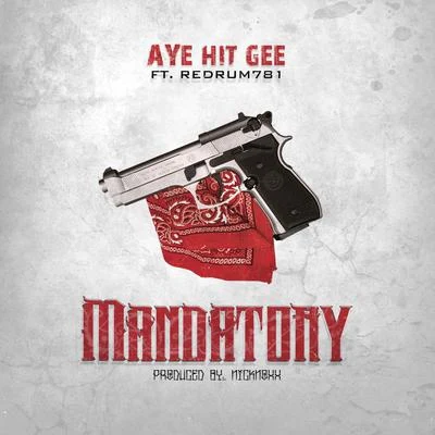 Aye Hit Gee Mandatory (feat. Redrum781)