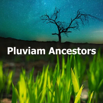 Tranquil Music Sound of Nature Pluviam Ancestors