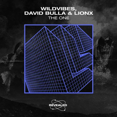 WildVibes/David Bulla/LionX The One