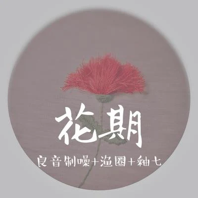 良音制噪/渔圈/釉七 花期