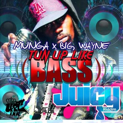 Munga/Big Wayne Tun up Like Bass