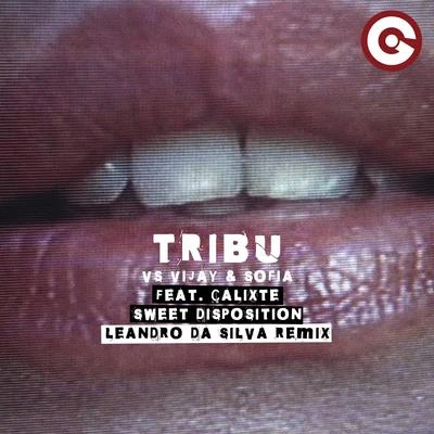 Tribù/Vijay &amp; Sofia Sweet Disposition (Leandro Da Silva Remix)