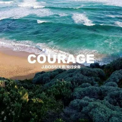 飞行少年 Courage