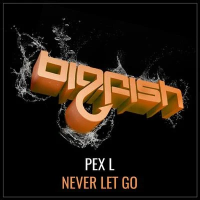 Pex L Never Let Go