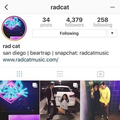 Rad Cat i miss the old u (rad cat remix)