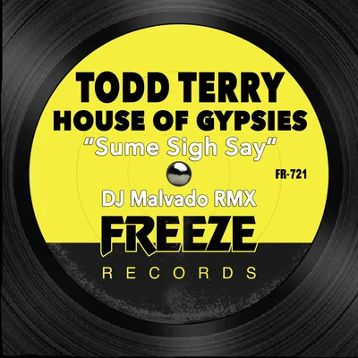 House of Gypsies/Todd Terry Sume Sigh Say (DJ Malvado RMX)